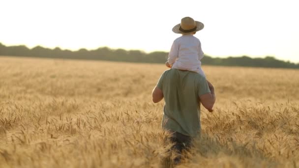 童年和父亲的快乐时光 夕阳西下 一个小儿子坐在父亲的脖子上 背靠着麦田的背景色 父亲和儿子欣赏着一个美丽的金黄的 成熟的田野 — 图库视频影像