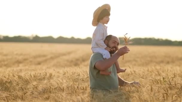 童年和父亲的快乐时光 夕阳西下 一个小儿子坐在父亲的脖子上 背靠着麦田的背景色 父亲和儿子欣赏着一个美丽的金黄的 成熟的田野 — 图库视频影像