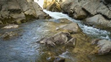 Nehir kıyısı boyunca yavaş çekimde akan bol miktarda suyun yakın çekimi. Dağlardaki akan nehir suyunun güzel manzarası. Yaz dağında küçük bir şelale sıçradı..