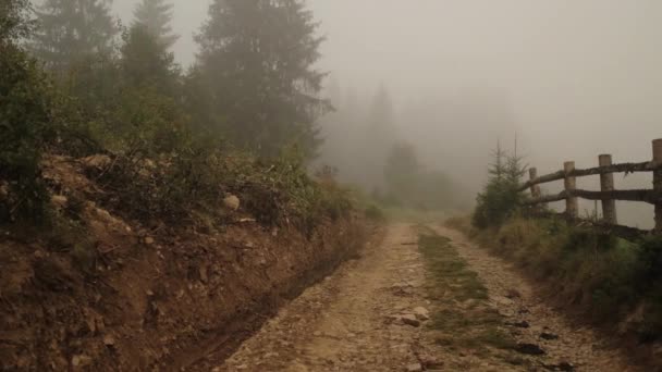 Karpatere Ukraine Smuk Landlig Scene Bjergene Træer Træhegn Morgenen Tåge – Stock-video