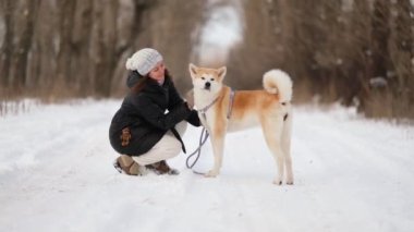 Japon Akita Inu köpeği ile kışın ormanda yürüyüşe çıkan bir kız..