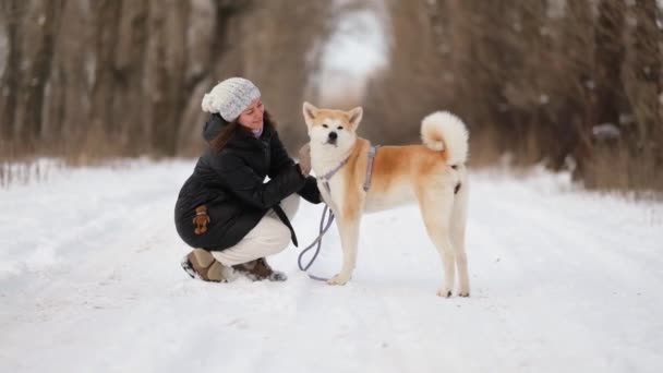 Una Chica Con Perro Japonés Akita Inu Paseo Por Bosque — Vídeo de stock