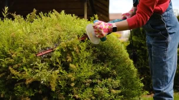 Uma Mulher Jardineira Uniforme Trabalho Corta Arbusto Com Tesoura Elétrica — Vídeo de Stock