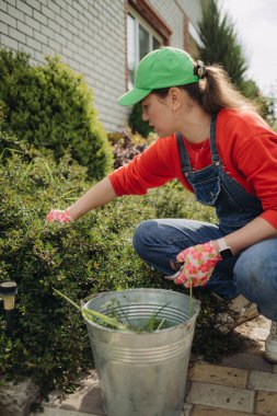 Genç bir kadın baharda büyük bahçesinde yabani otları çekiyor, kıştan sonra bahçeyi temizliyor.