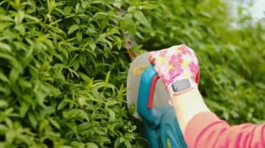 İş üniformalı bir kadın bahçıvan elektrikli makasla bir çalıyı buduyor. Yaz mevsiminde el yapımı..