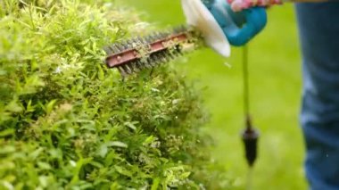 İş üniformalı bir kadın bahçıvan elektrikli makasla bir çalıyı buduyor. Yaz mevsiminde el yapımı..