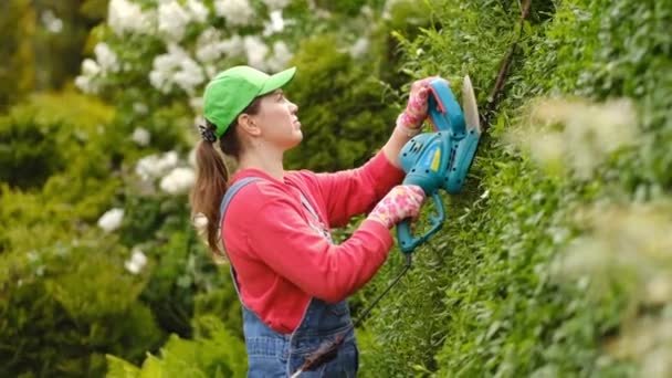 仕事の制服を着た女性の庭師は 電気ハサミでブッシュをトリムします 夏季のハンドメイド — ストック動画
