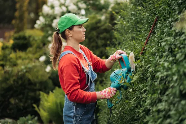 İş üniformalı bir kadın bahçıvan elektrikli makasla bir çalıyı buduyor. Yaz mevsiminde el yapımı..