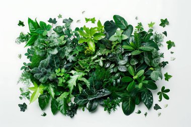 Dikey duvar bitkisi arkaplan resmi