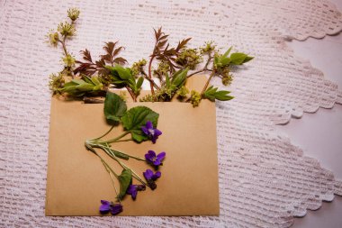 Kahverengi bir zarfta kuru çiçekler ve menekşeler
