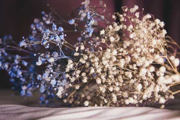 Μπλε Και Λευκά Αποξηραμένα Λουλούδια Ροζ Σατέν Φόντο — Φωτογραφία Αρχείου
