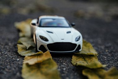 Beyaz bir araba yapraklarla kaplı bir yol boyunca gidiyor. 