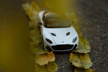 Beyaz bir araba yapraklarla kaplı bir yol boyunca gidiyor. 