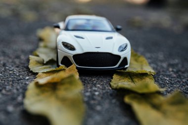 Beyaz bir araba yapraklarla kaplı bir yol boyunca gidiyor. 