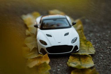 Beyaz bir araba yapraklarla kaplı bir yol boyunca gidiyor. 