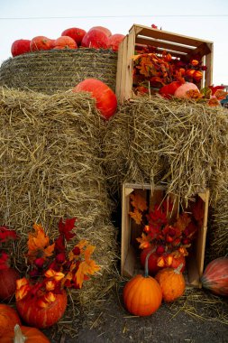 Saman balyaları ve balkabaklarıyla sonbahar konumu, sonbahar fotoğraf bölgesi