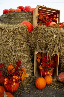 Saman balyaları ve balkabaklarıyla sonbahar konumu, sonbahar fotoğraf bölgesi