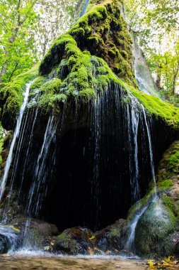 Ormanda güzel bir şelale, şelaleli güzel bir doğa, yeşillikte boğulan mavi bir şelale, Maliyevsky şelalesi, taşların üzerindeki yosun, şelaleden akan su, turizm, su ve taşlar.