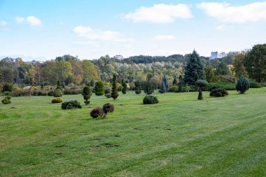 Çimlerin ve ağaçların güzel manzarası, manzaralı bir park.