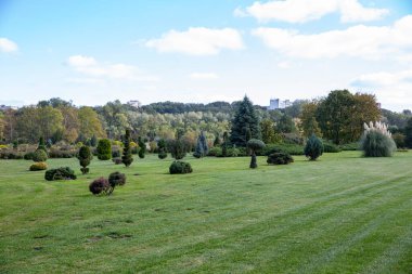 Çimlerin ve ağaçların güzel manzarası, manzaralı bir park.