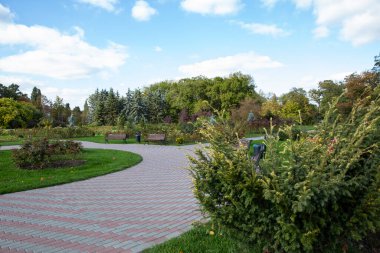 Parkta güzel fayanslı yürüyüş alanı, dinlenme alanı, sonbaharda güzel bir manzara parkı.