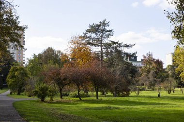 Parktaki ağaçlar, sonbahar, güzel manzara.