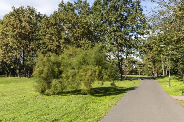 Parkta güzel fayanslı yürüyüş alanı, dinlenme alanı, sonbaharda güzel bir manzara parkı.