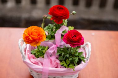 Çitin arkasında pembe bir sepetin içinde üç güzel düğün çiçeği, güzel bir çiçek fotoğrafı, kırmızı Asya çiçekleri, pembe kurdeleli bir sepetin içindeki çiçekler.