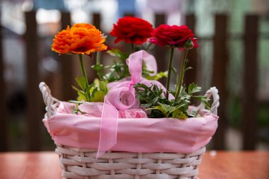 Çitin arkasında pembe bir sepetin içinde üç güzel düğün çiçeği, güzel bir çiçek fotoğrafı, kırmızı Asya çiçekleri, pembe kurdeleli bir sepetin içindeki çiçekler.
