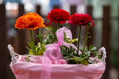 Çitin arkasında pembe bir sepetin içinde üç güzel düğün çiçeği, güzel bir çiçek fotoğrafı, kırmızı Asya çiçekleri, pembe kurdeleli bir sepetin içindeki çiçekler.