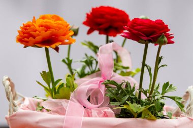 Çitin arkasında pembe bir sepetin içinde üç güzel düğün çiçeği, güzel bir çiçek fotoğrafı, kırmızı Asya çiçekleri, pembe kurdeleli bir sepetin içindeki çiçekler.