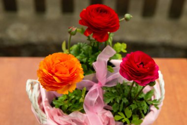 Pembe sepetteki üç güzel düğün çiçeği, güzel çiçek fotoğrafı, kırmızı düğün çiçeği çiçekleri, pembe kurdeleli bir sepetteki çiçekler.