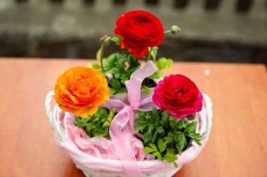 Pembe sepetteki üç güzel düğün çiçeği, güzel çiçek fotoğrafı, kırmızı düğün çiçeği çiçekleri, pembe kurdeleli bir sepetteki çiçekler.