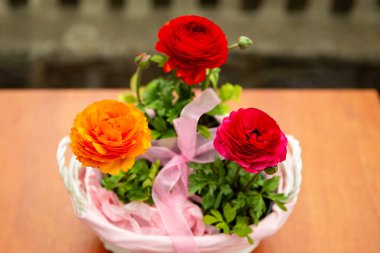 Pembe sepetteki üç güzel düğün çiçeği, güzel çiçek fotoğrafı, kırmızı düğün çiçeği çiçekleri, pembe kurdeleli bir sepetteki çiçekler.