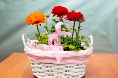 Pembe sepetteki üç güzel düğün çiçeği, güzel çiçek fotoğrafı, kırmızı düğün çiçeği çiçekleri, pembe kurdeleli bir sepetteki çiçekler.