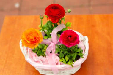 Pembe sepetteki üç güzel düğün çiçeği, güzel çiçek fotoğrafı, kırmızı düğün çiçeği çiçekleri, pembe kurdeleli bir sepetteki çiçekler.