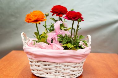 Pembe sepetteki üç güzel düğün çiçeği, güzel çiçek fotoğrafı, kırmızı düğün çiçeği çiçekleri, pembe kurdeleli bir sepetteki çiçekler.