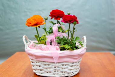 Pembe sepetteki üç güzel düğün çiçeği, güzel çiçek fotoğrafı, kırmızı düğün çiçeği çiçekleri, pembe kurdeleli bir sepetteki çiçekler.