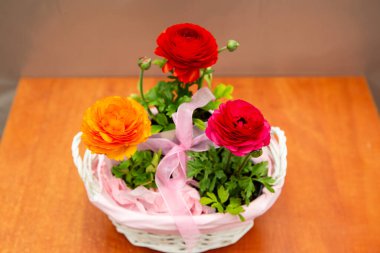 Pembe sepetteki üç güzel düğün çiçeği, güzel çiçek fotoğrafı, kırmızı düğün çiçeği çiçekleri, pembe kurdeleli bir sepetteki çiçekler.