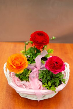 Pembe sepetteki üç güzel düğün çiçeği, güzel çiçek fotoğrafı, kırmızı düğün çiçeği çiçekleri, pembe kurdeleli bir sepetteki çiçekler.