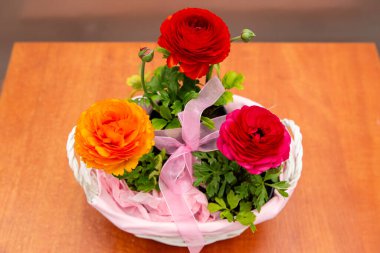 Pembe sepetteki üç güzel düğün çiçeği, güzel çiçek fotoğrafı, kırmızı düğün çiçeği çiçekleri, pembe kurdeleli bir sepetteki çiçekler.