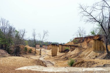 Phrae Eyaleti 'ndeki Phae Mueang Phi Orman Parkı' nın nefes kesici manzarası; Tayland - doğanın sanatının gizli bir mücevheri.