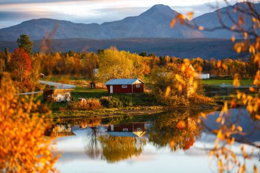 Mestervik ya da Meistervik üzerinde Sonbahar Günbatımı Norveç 'in Troms og Finnmark ilçesine bağlı Balsfjord Belediyesine bağlı bir köydür.. 