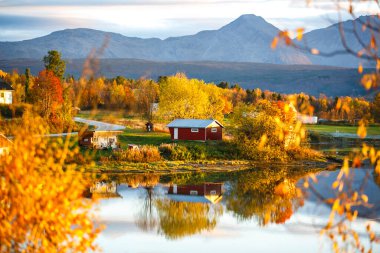 Mestervik ya da Meistervik üzerinde Sonbahar Günbatımı Norveç 'in Troms og Finnmark ilçesine bağlı Balsfjord Belediyesine bağlı bir köydür.. 