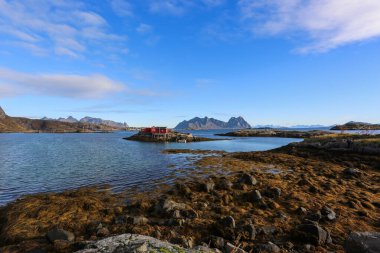 Vestvagoy 'un güzel manzarası, Lofoten Adası, Kuzey Kutup Dairesi, Nordland, Norveç