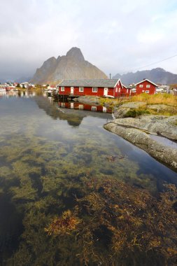 Harbor in Lofoten islands, Norway, Reine village