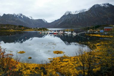 Fall in Lofoten islands, Norway