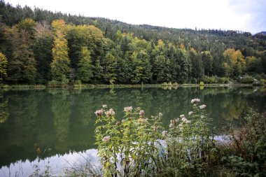 Almanya, Garmisch Partenkirchen yakınlarındaki Riessersee Gölü. Sonbahar