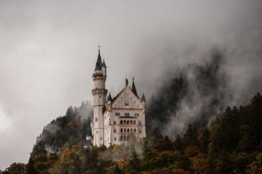 Sonbahar boyunca Neuschwanstein Kalesi manzarası, Almanya