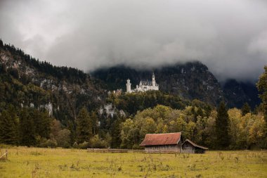 Sonbahar boyunca Neuschwanstein Kalesi manzarası, Almanya